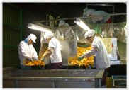 Preprocessing (Selection by visual checks)